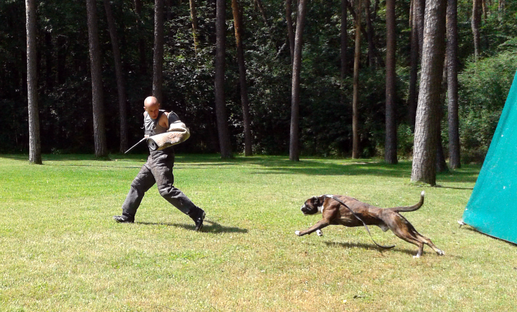 Haakon von der Vogelwarthe und Daniel Carpentier
