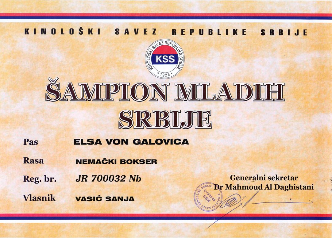 Elsa von Galovica - Junior Champion fo Serbia - certificate